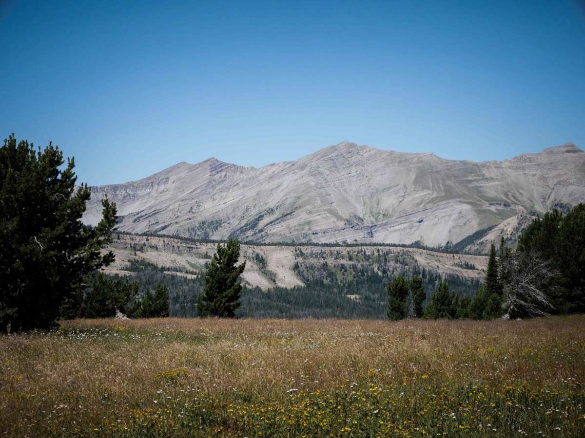 Buck Ridge ATV photo 4