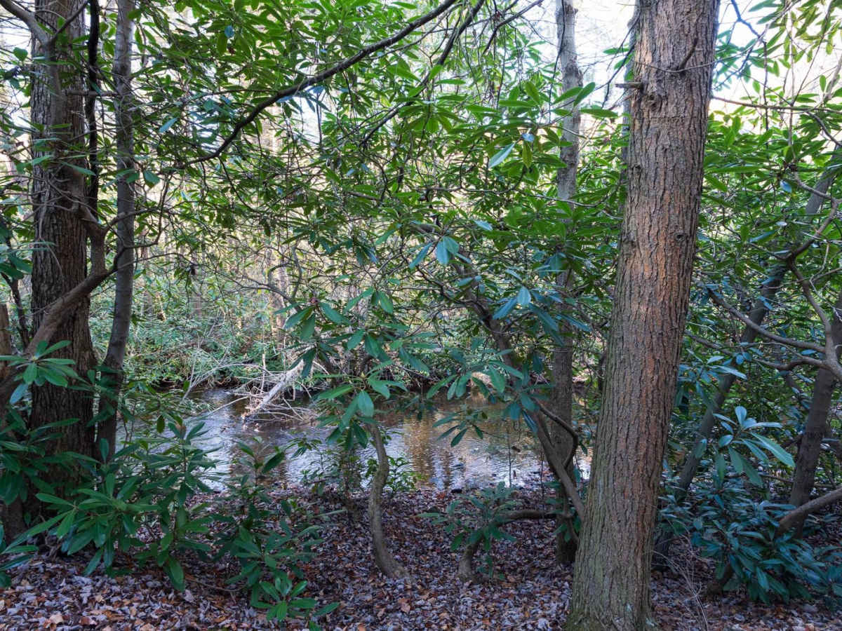 Benner Run Road photo 6