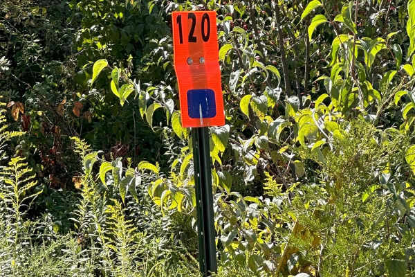 120