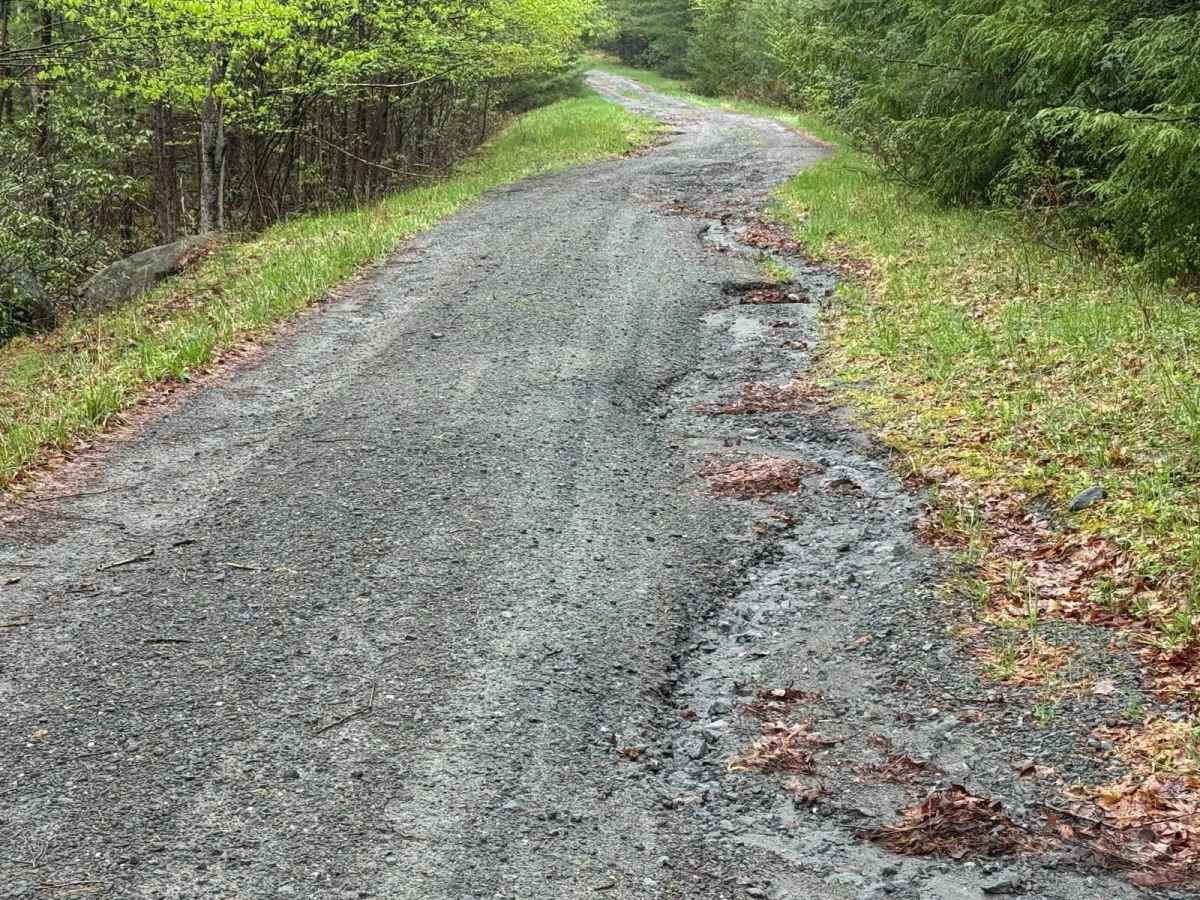 Wolf Brook Trail photo 6