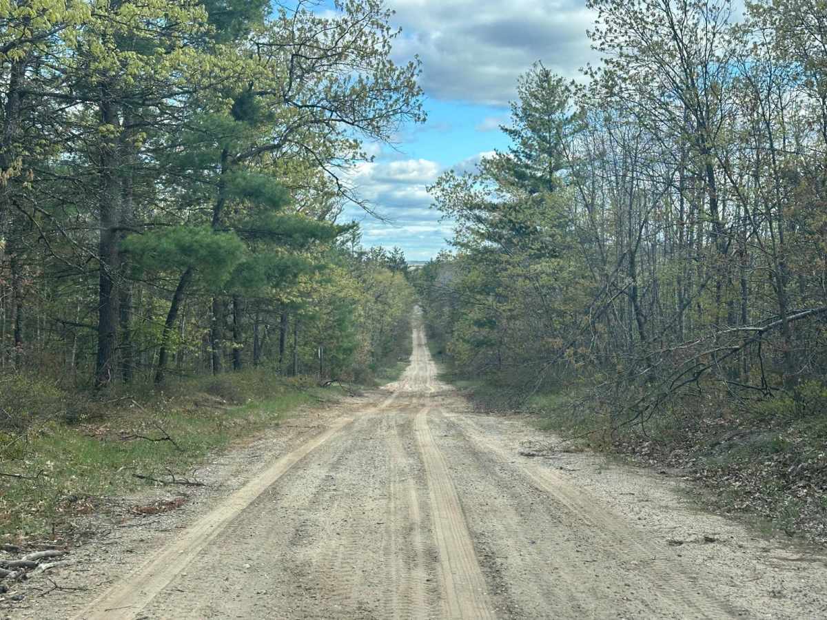 FS 4982 trail photo
