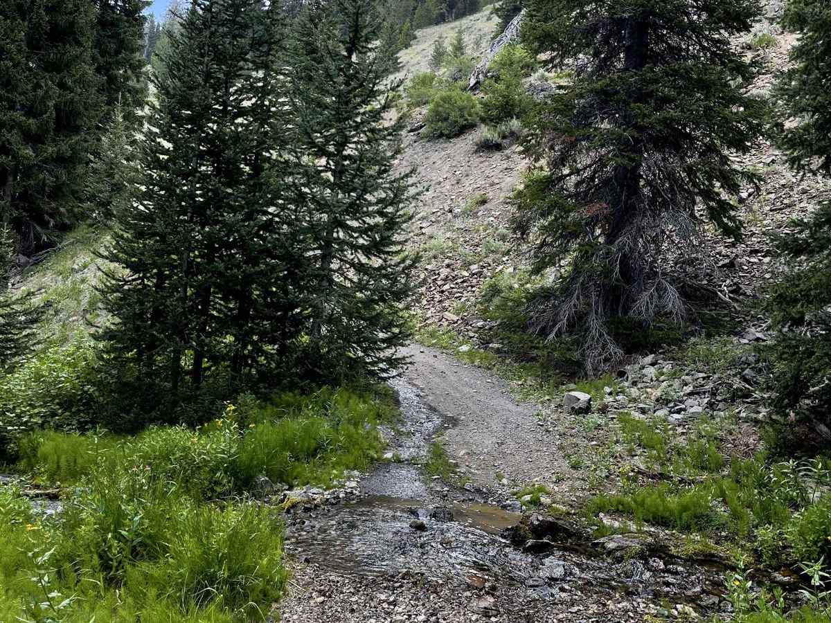 Rainbow Creek ATV photo 5