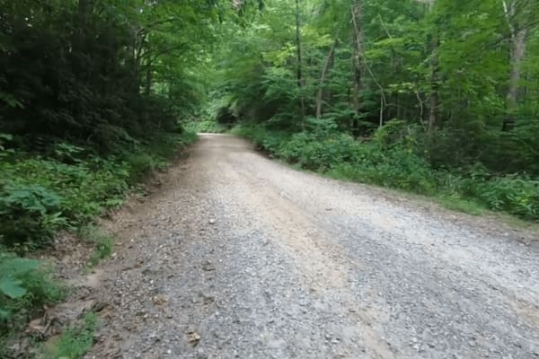 Shaws Fork