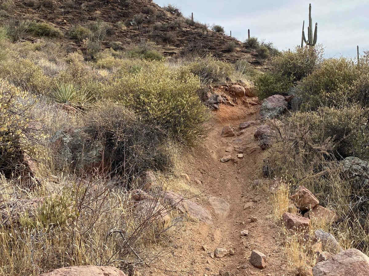 P5004B - Pickaxe trail photo