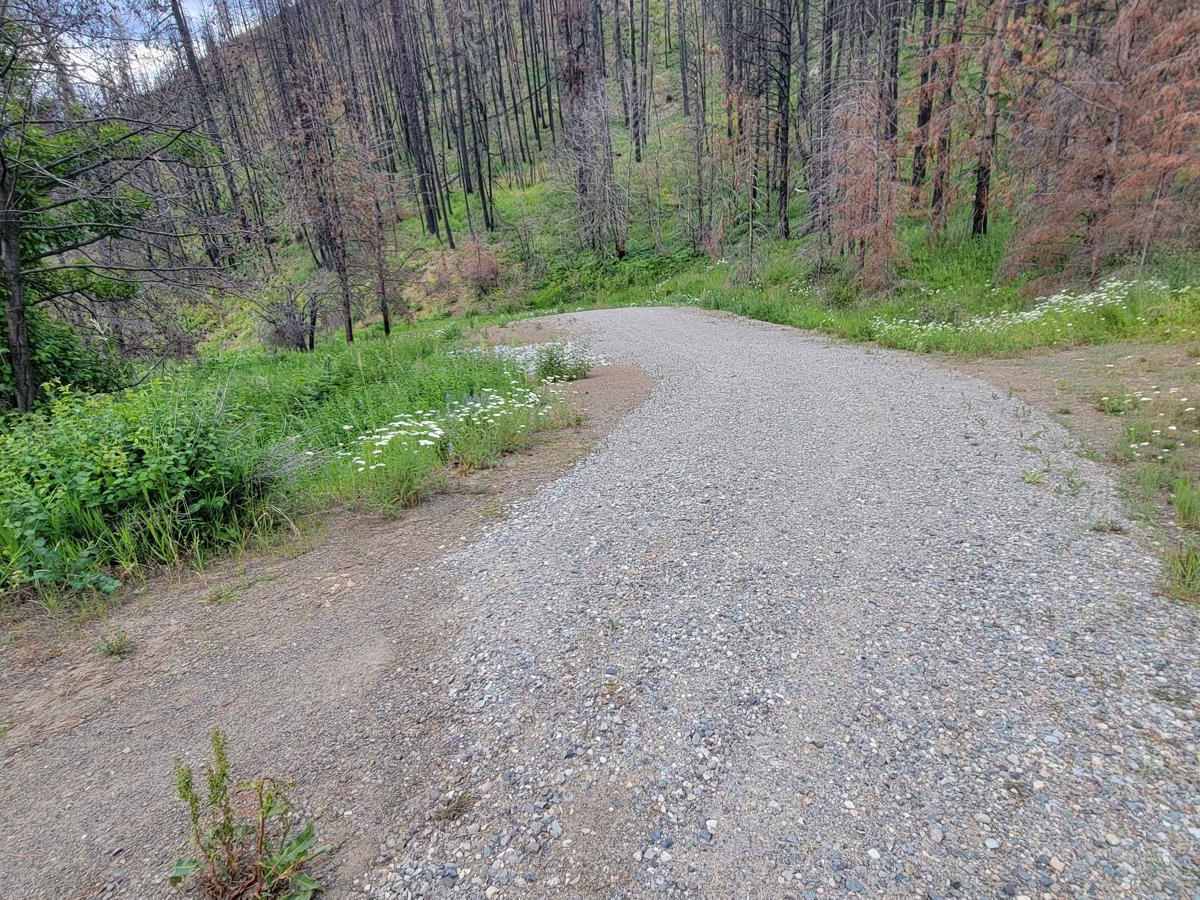 Cow Creek Road 4415040 photo 4