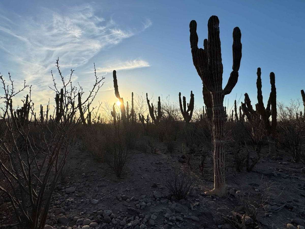 Rancho La Palma photo 4