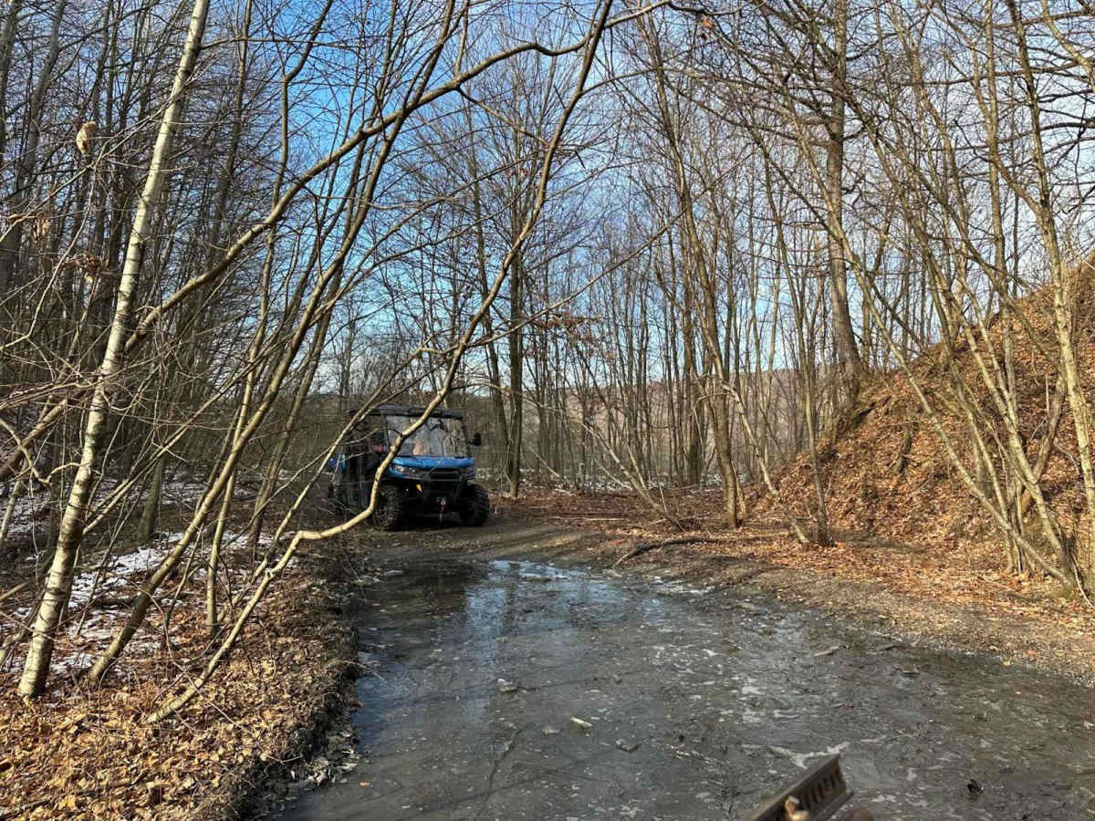 Locust Gap 7 - Northeast trail photo