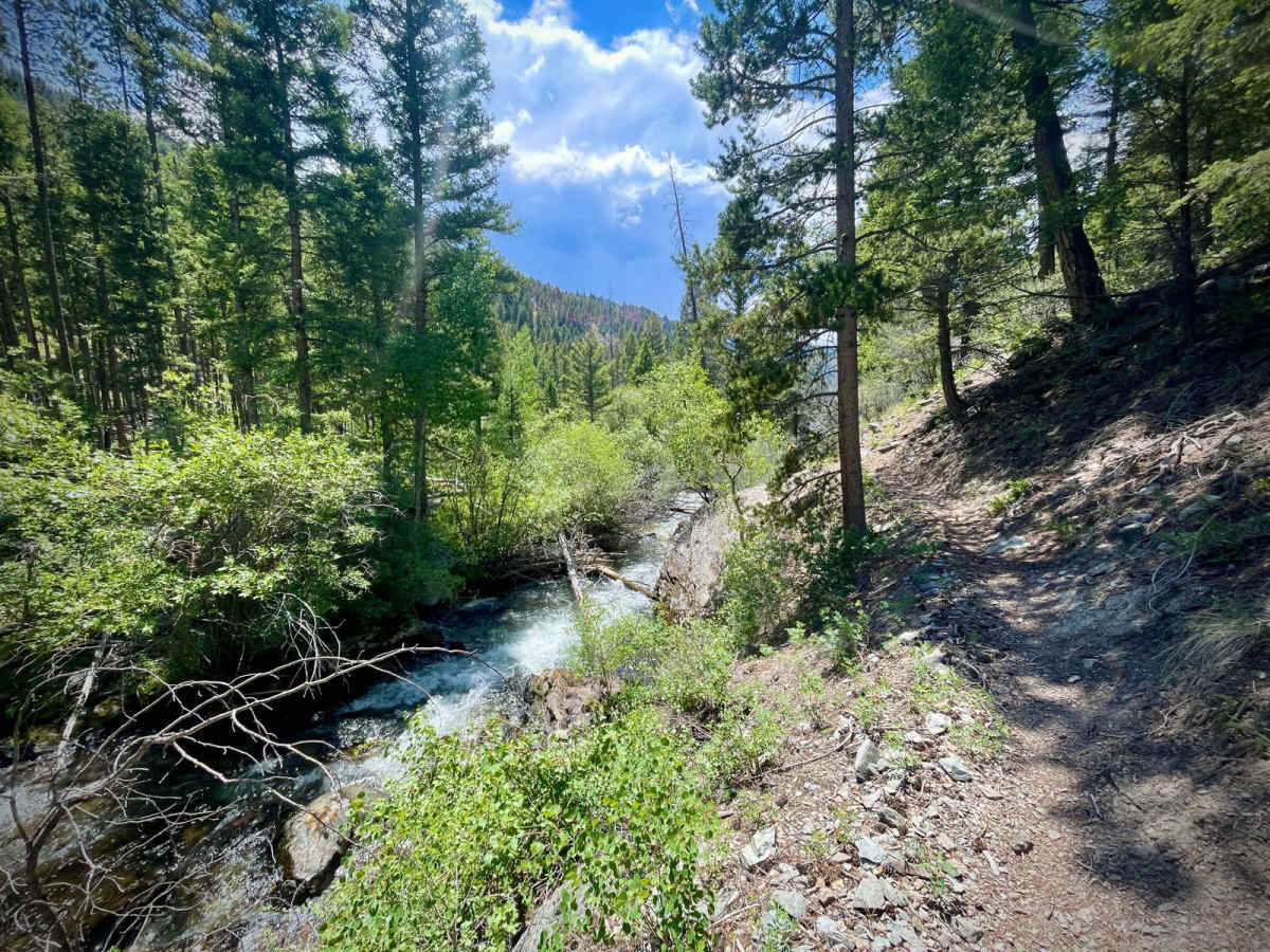 North Fork Big Creek trail photo