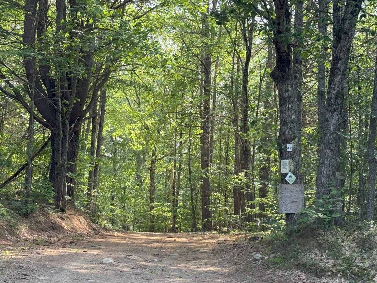 Caverly Road to Devil's Den Road photo 5