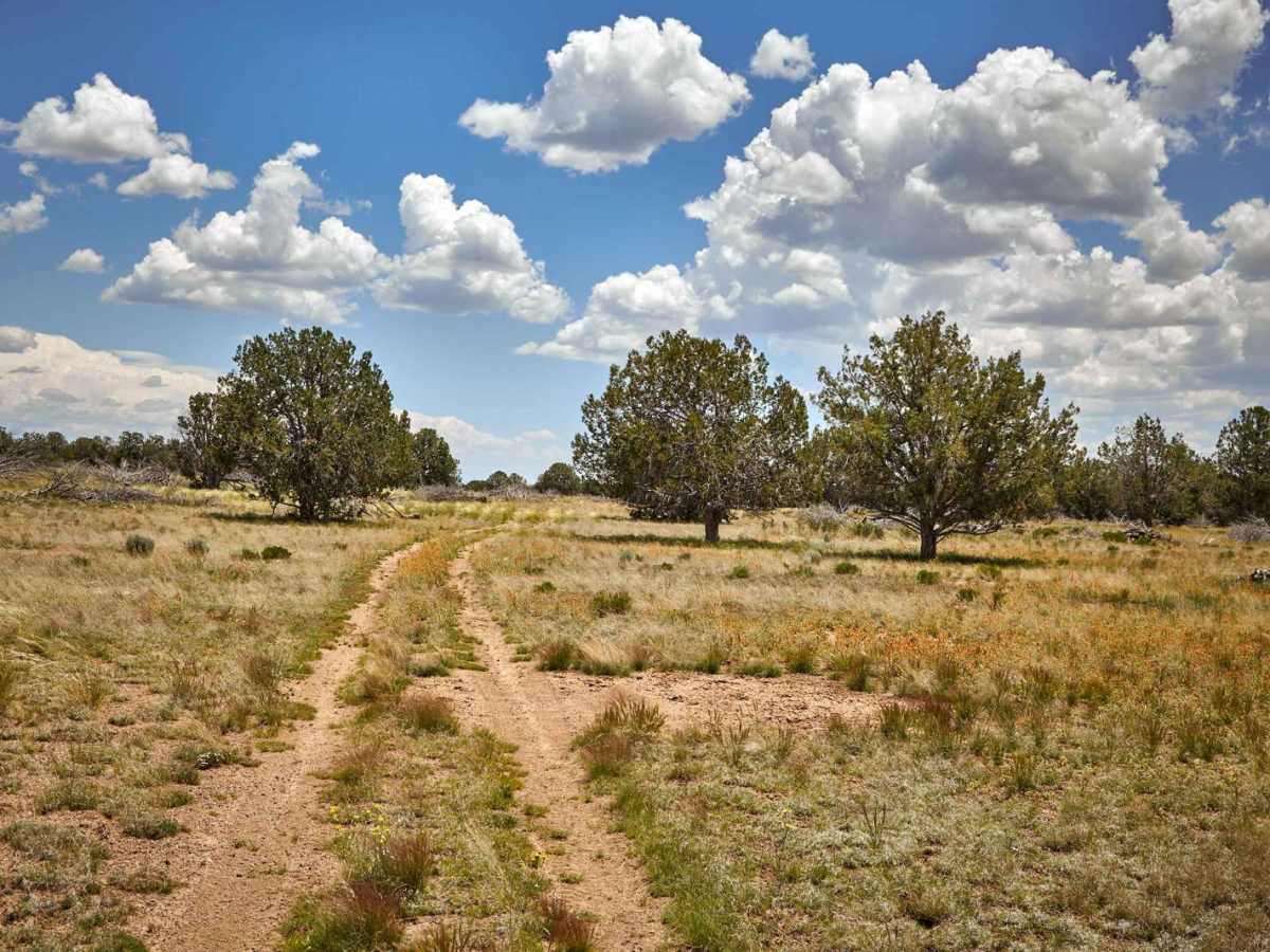 Prairie Loop photo 3