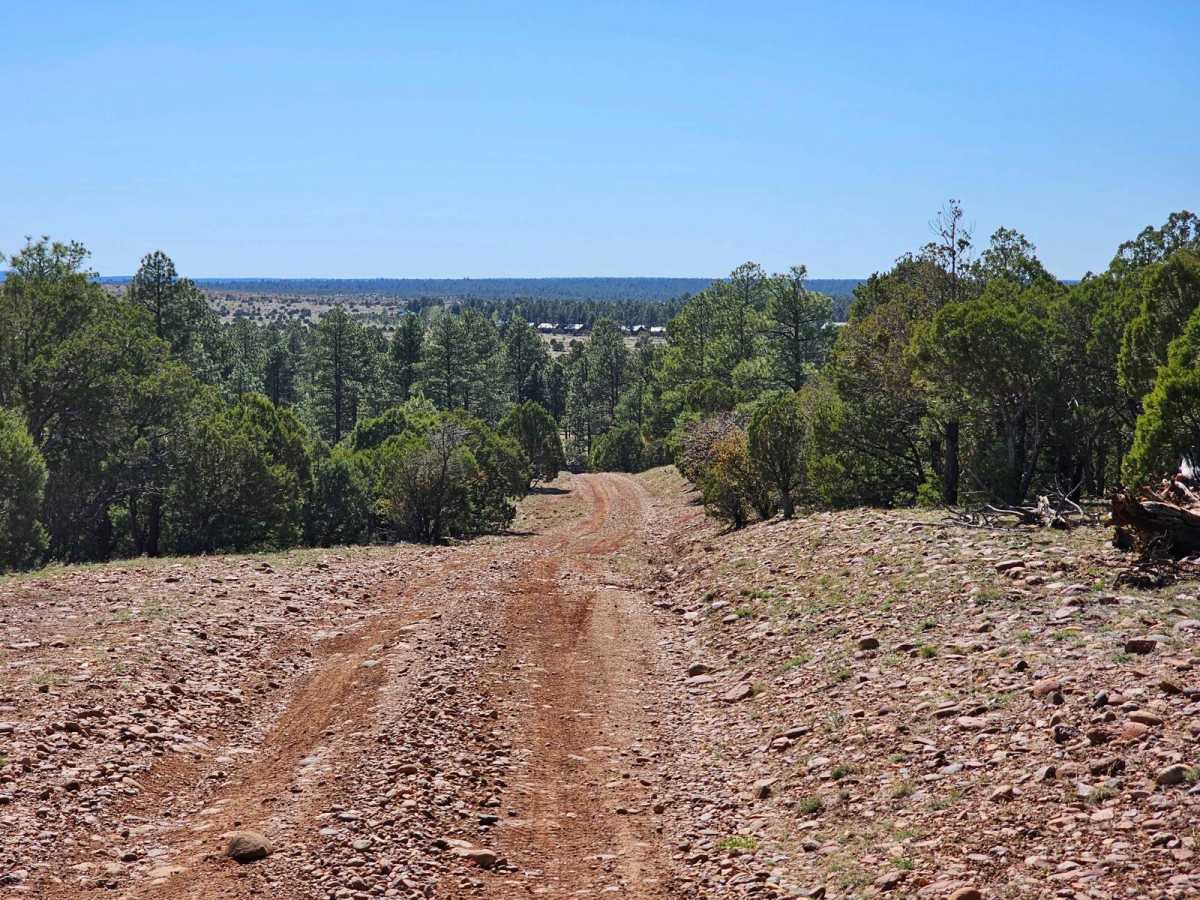 Dead Horse Draw trail photo