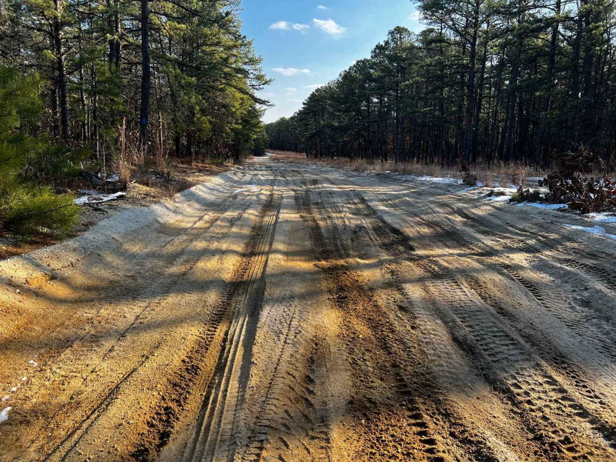Webb Mill Road to 539 photo 3