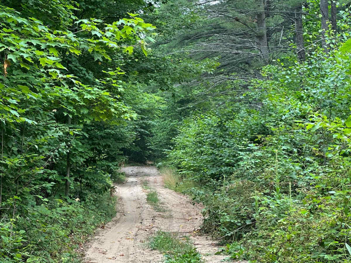 Spear Road/48062 photo 3