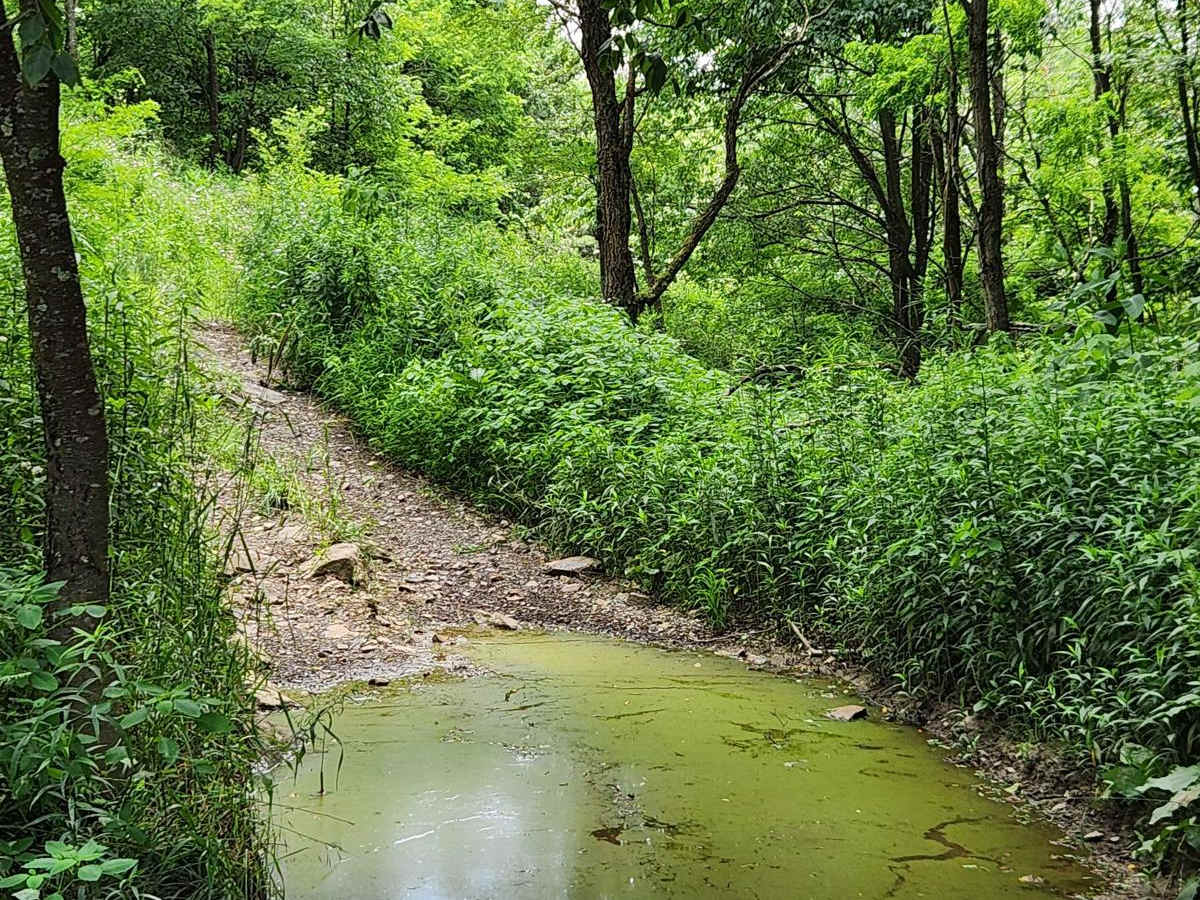 Trail 8G - Rock Run Recreation Area photo 3