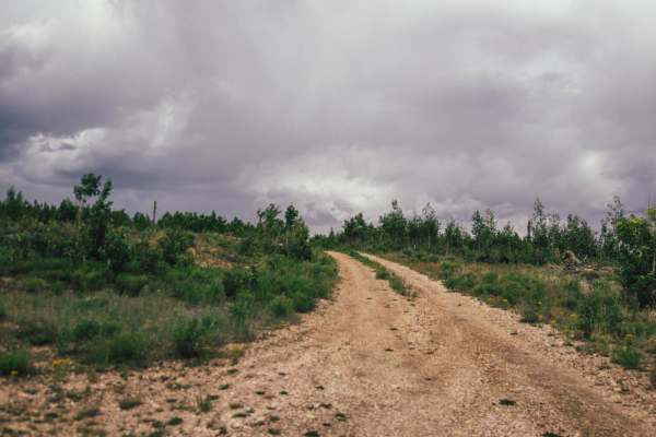 4169/Red Point