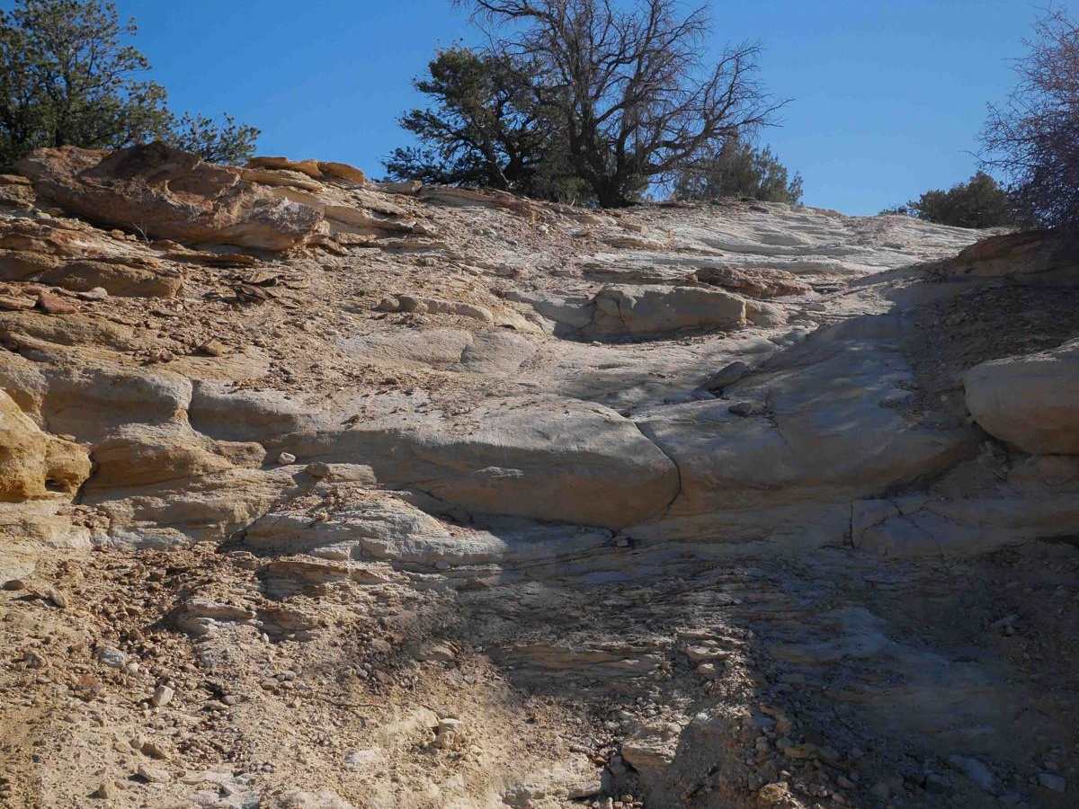 Arch Trail photo 6