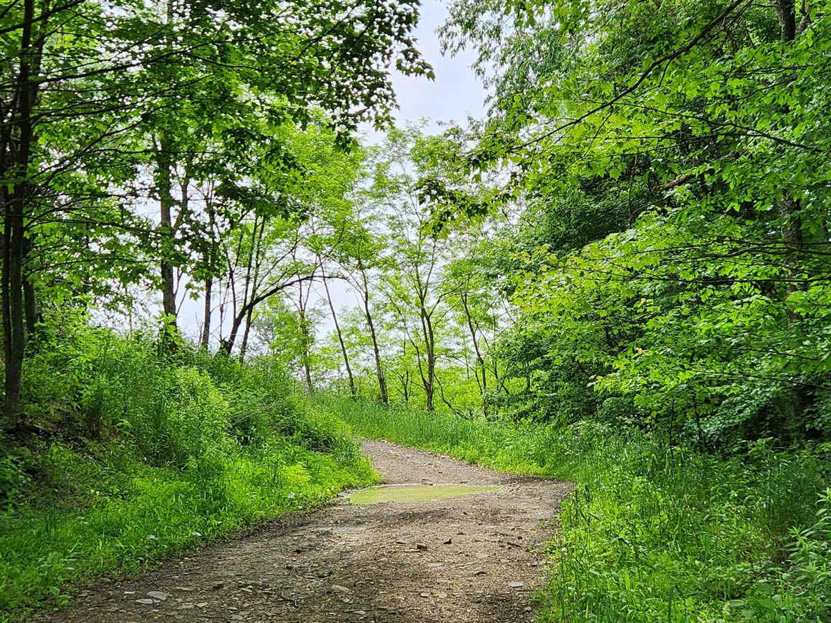 Trail 4H - Rock Run Recreation Area photo 4