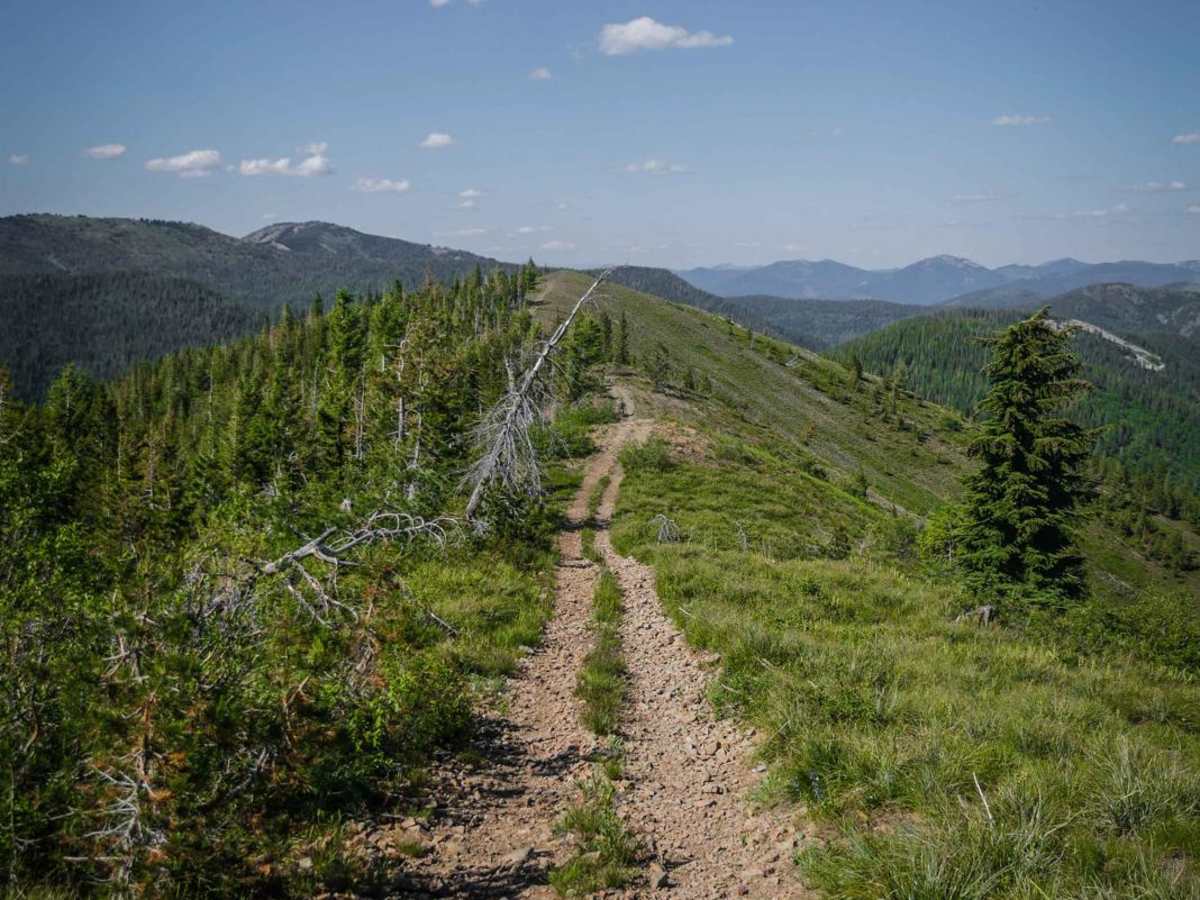 Dam Ridge ATV trail photo