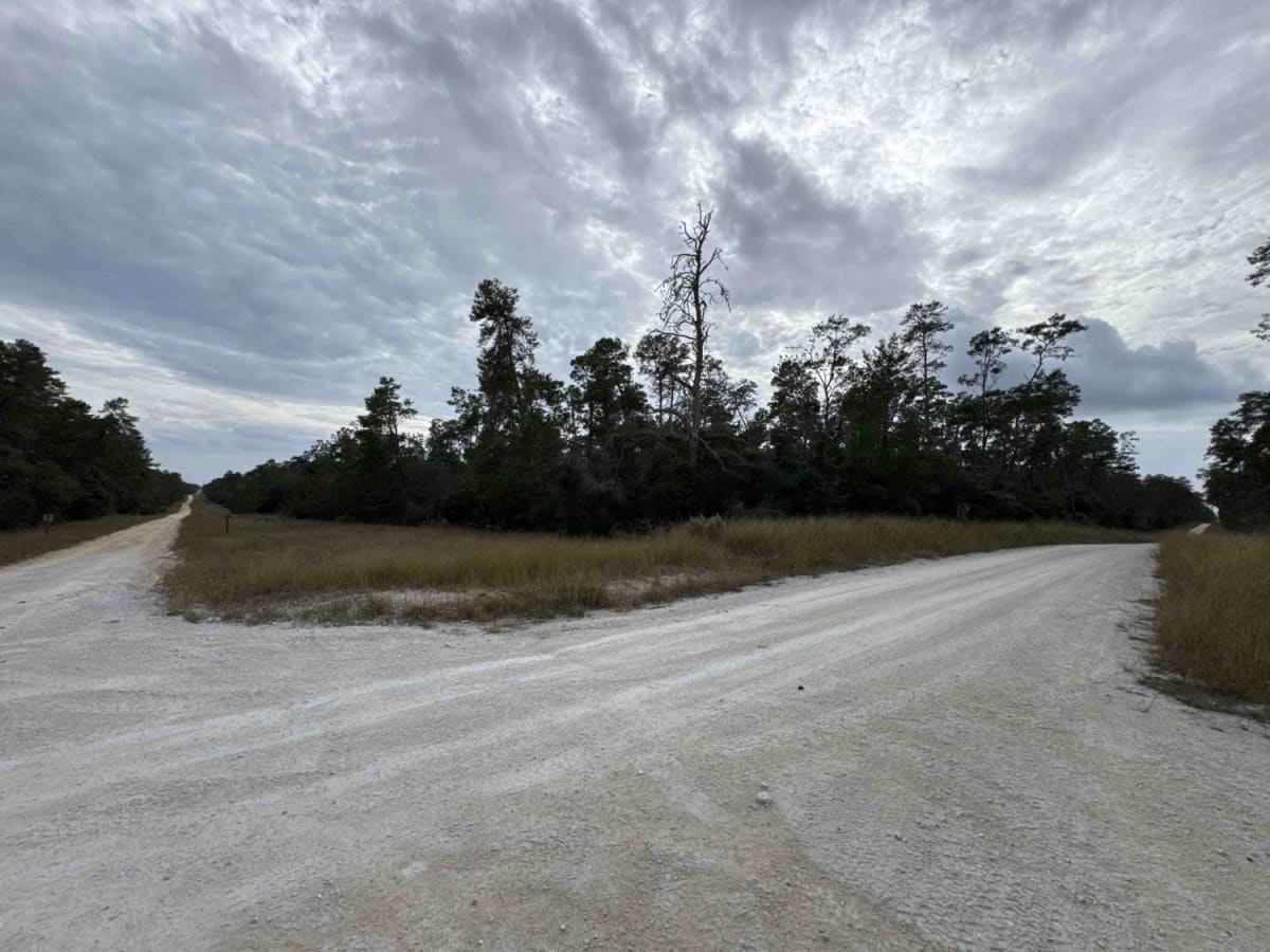 North Tower Trail - ONF 70 photo 5