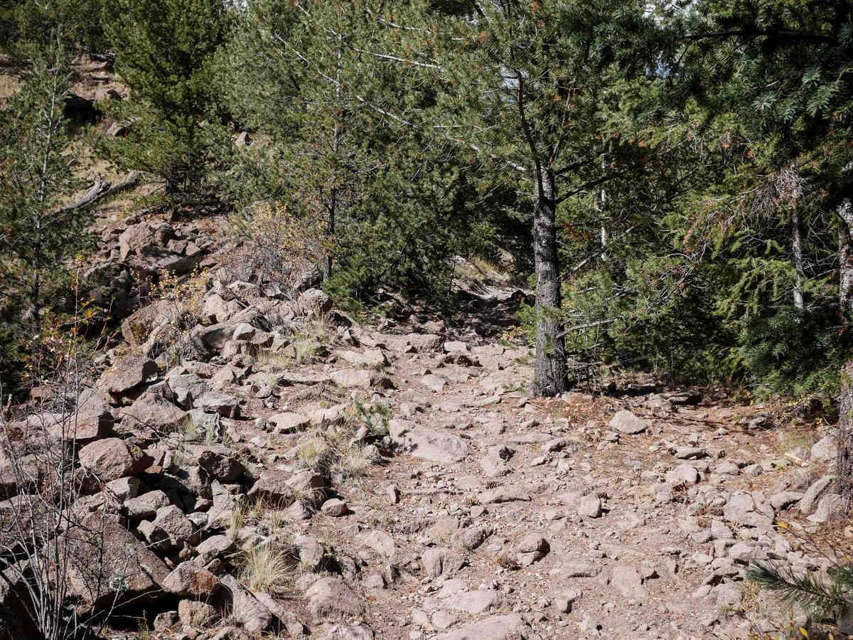 West Bear 932 photo 6