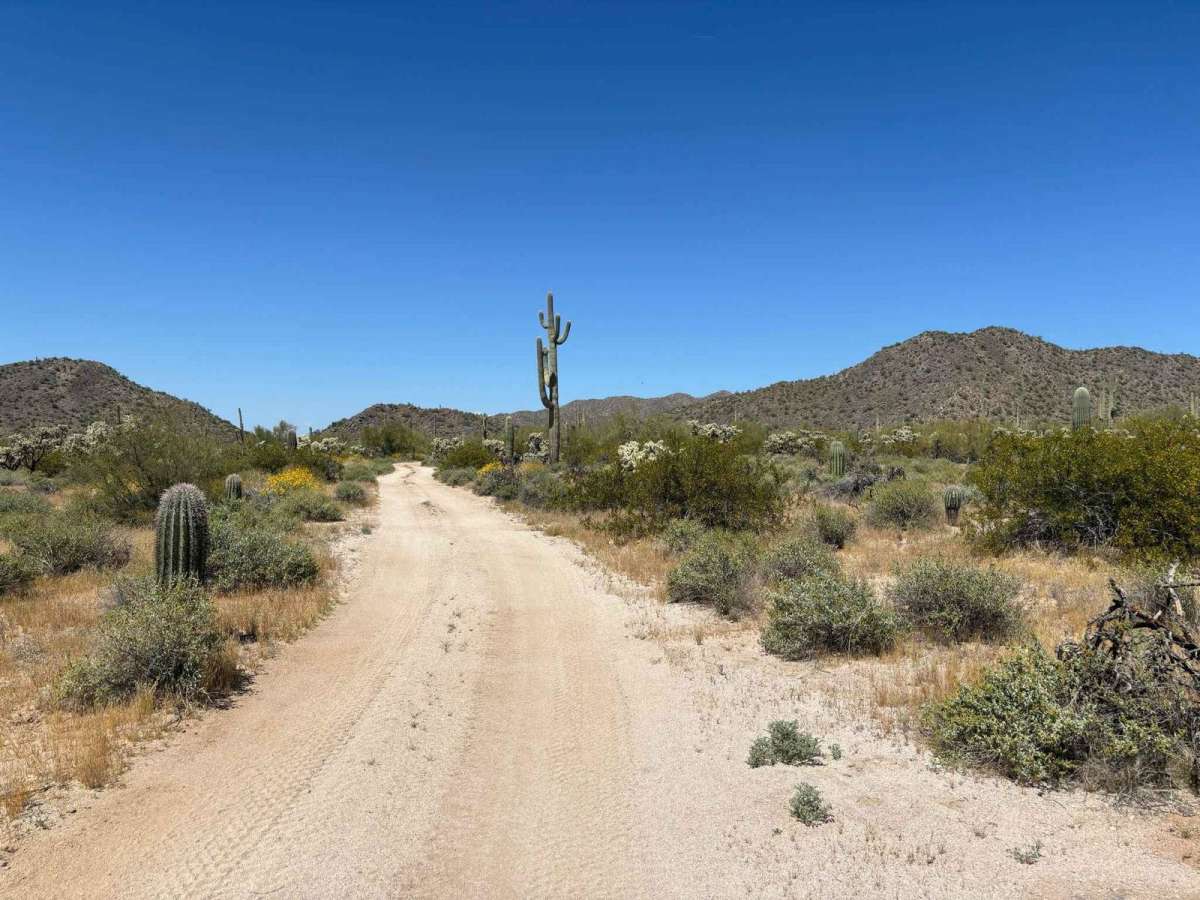 North Picacho Mountain Pass photo 5
