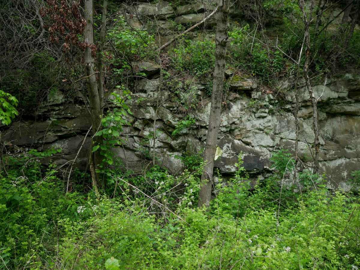 BM 22 photo 5