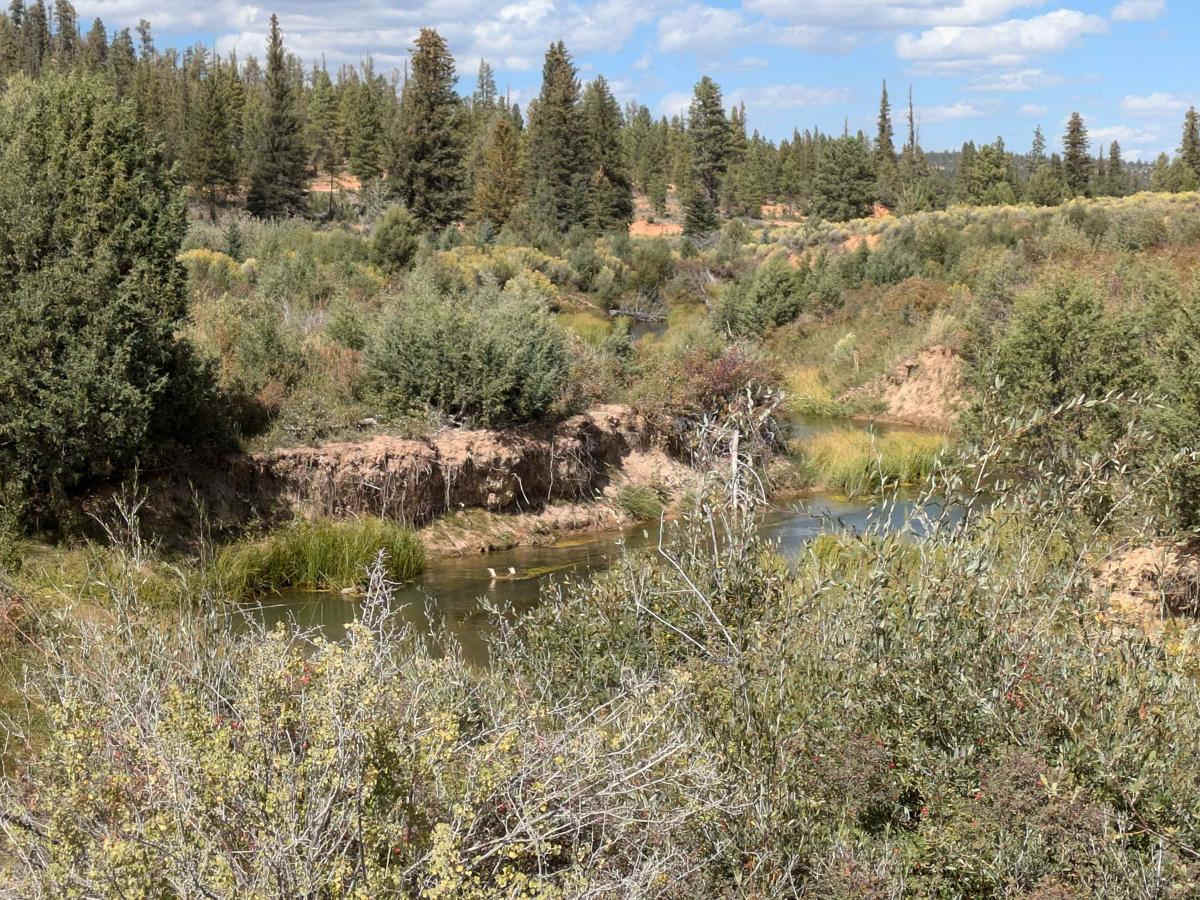 Tropic Reservoir West Side photo 5