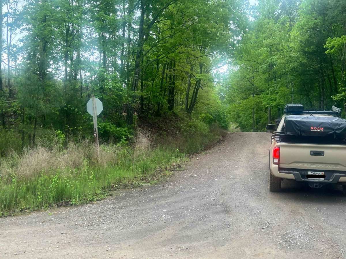 West Forked Mountain FR124 trail photo