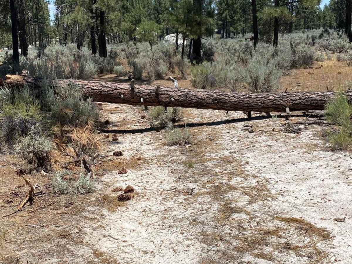 Laguna Hanson Road Detour photo 2