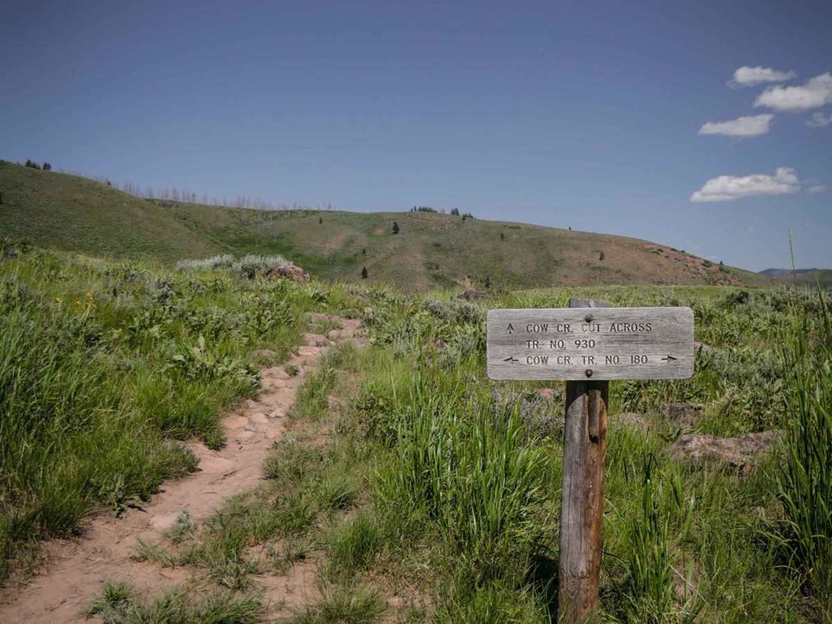 Cow Creek Shortcut photo 3