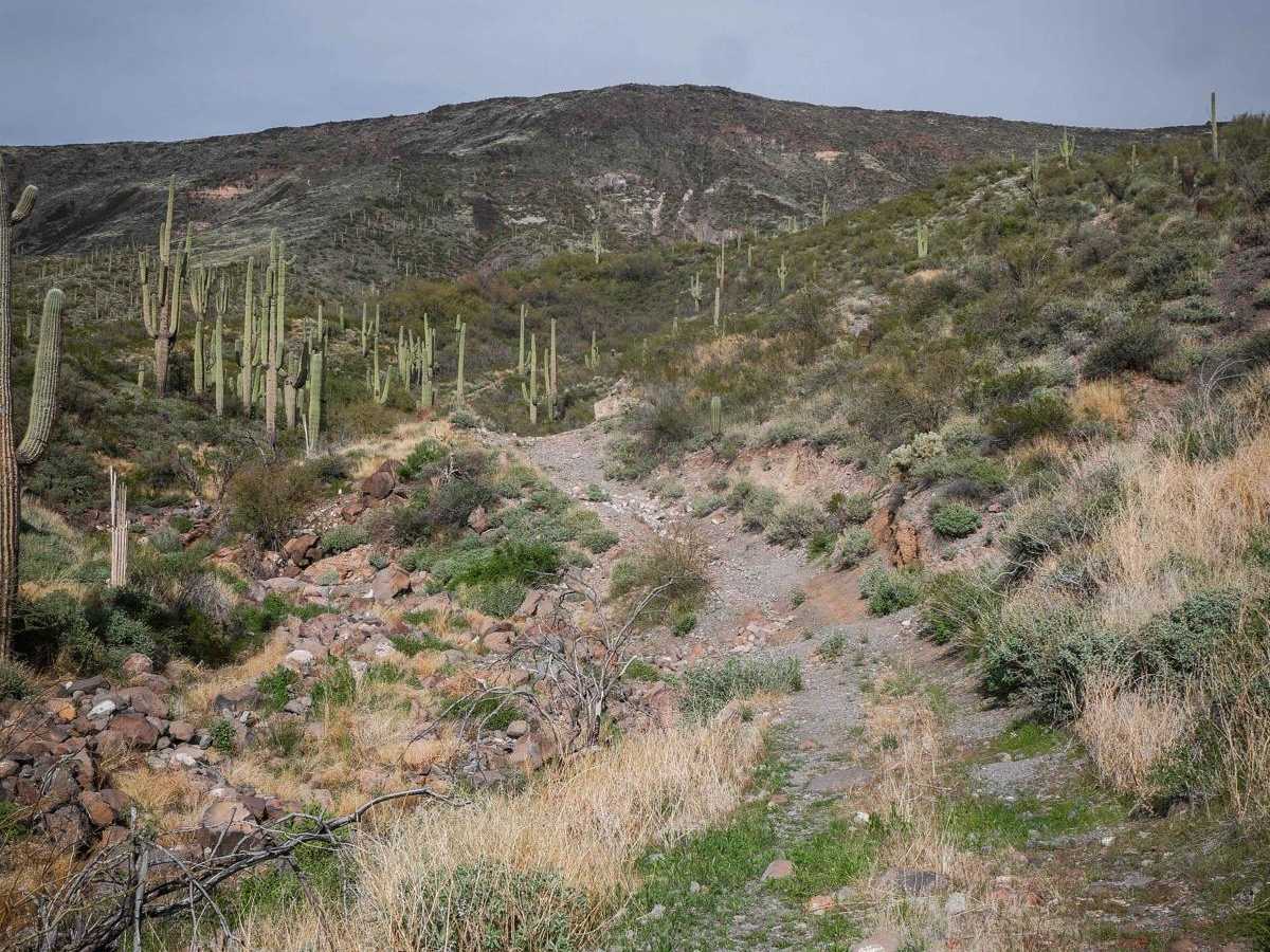 3197 trail photo