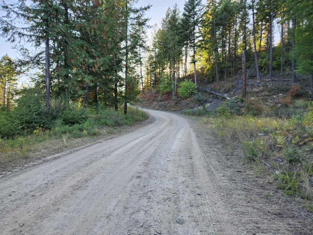 Solomon Mountain photo 3
