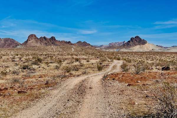 Wheeler Wagon Ridge Dispersed Camps