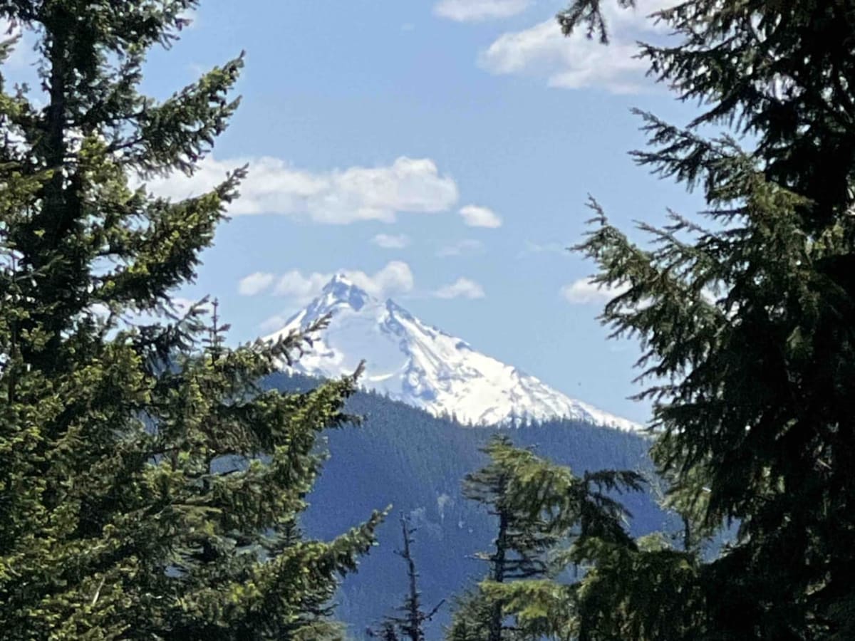 Oak Grove/Timothy Lake trail photo