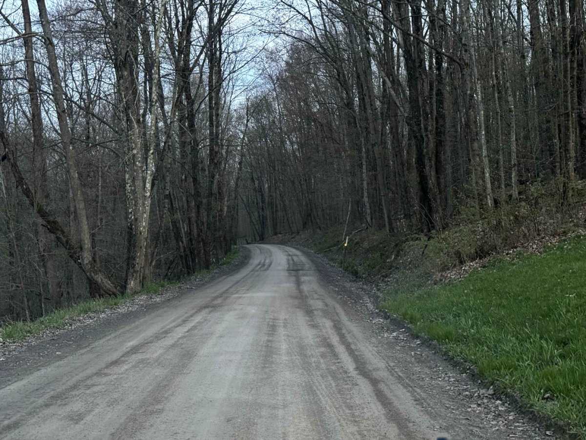 Tripp Lake Road trail photo