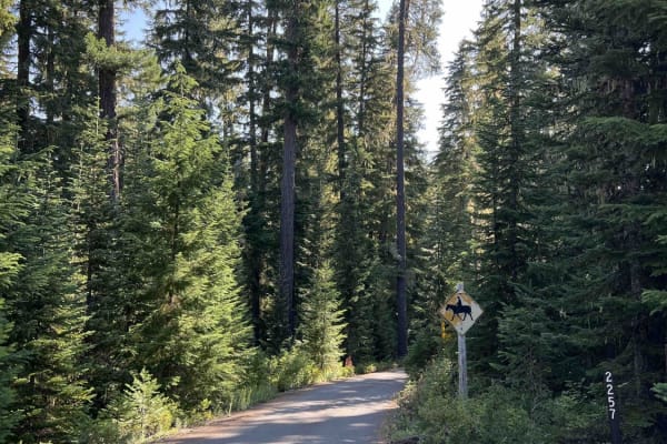 Horn Creek 2257