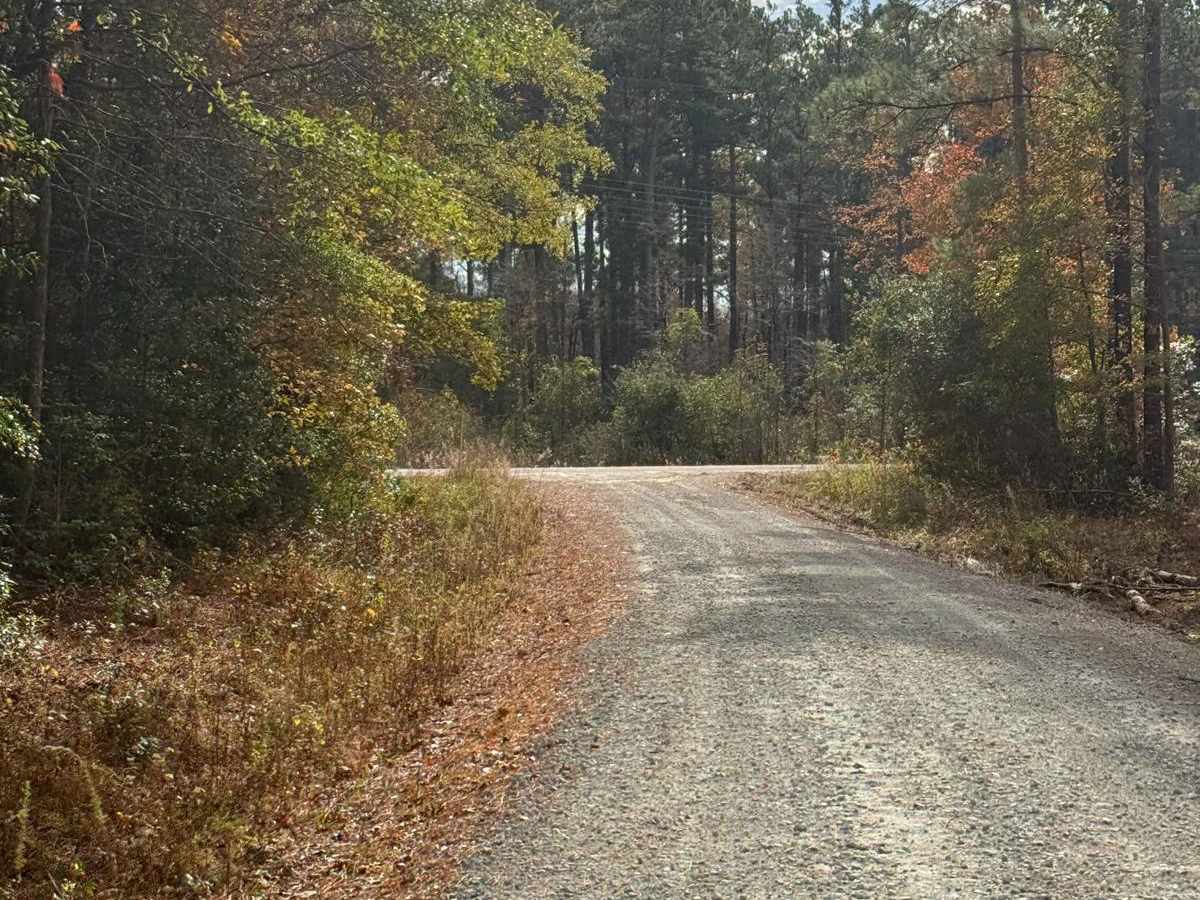 Mirey Branch trail photo