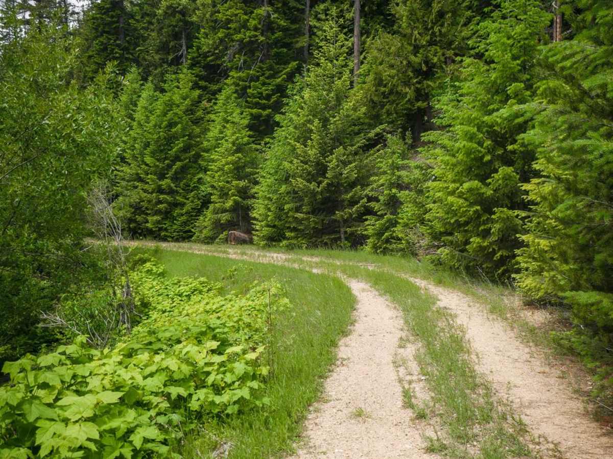 Hill 36 OHV - 3598 photo 3