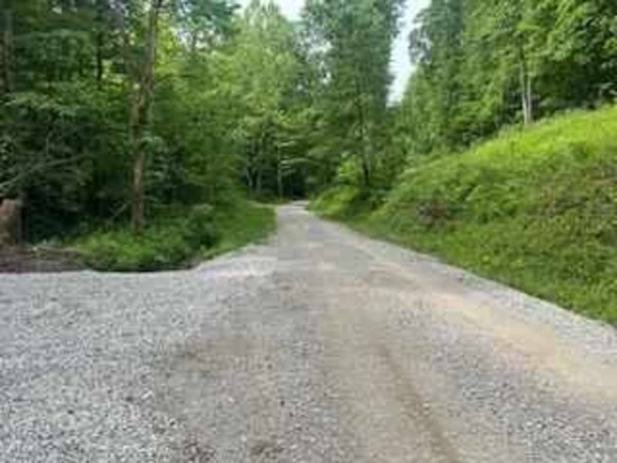 Wolf Creek Road trail photo