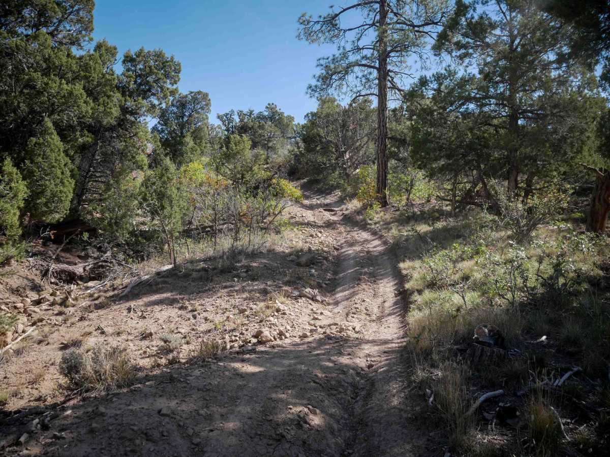 Reservoir Canyon photo 4