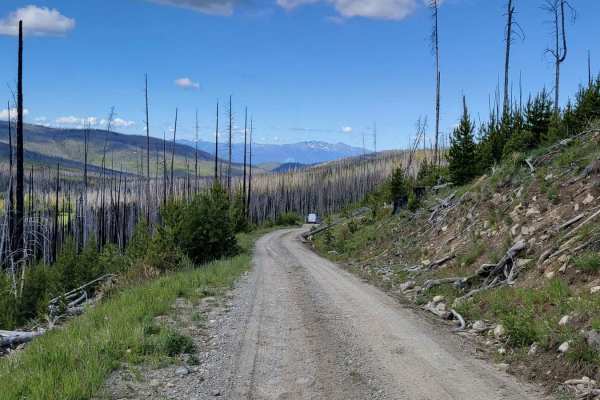 NF 39 (South) - Meadows-Toats