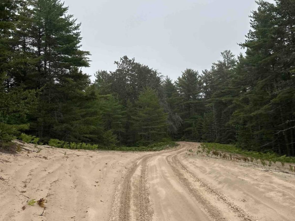 Dunes photo 3