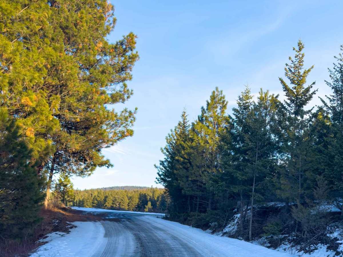 Meandering McCulloch Road photo 6