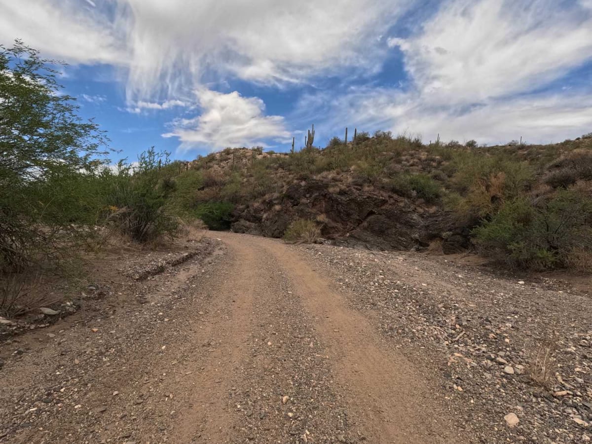 San Domingo Wash trail photo