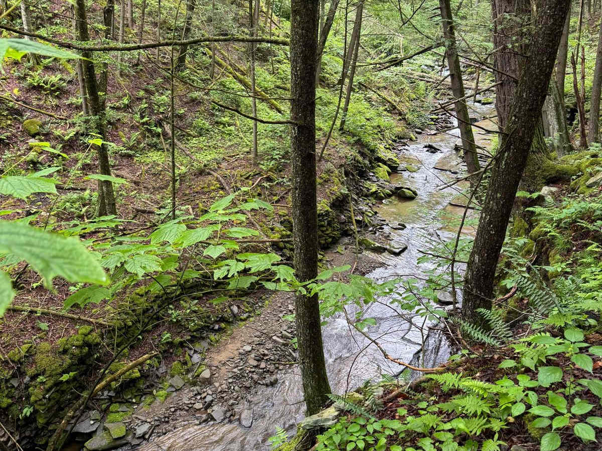 Hoolihan Brook Rd photo 6