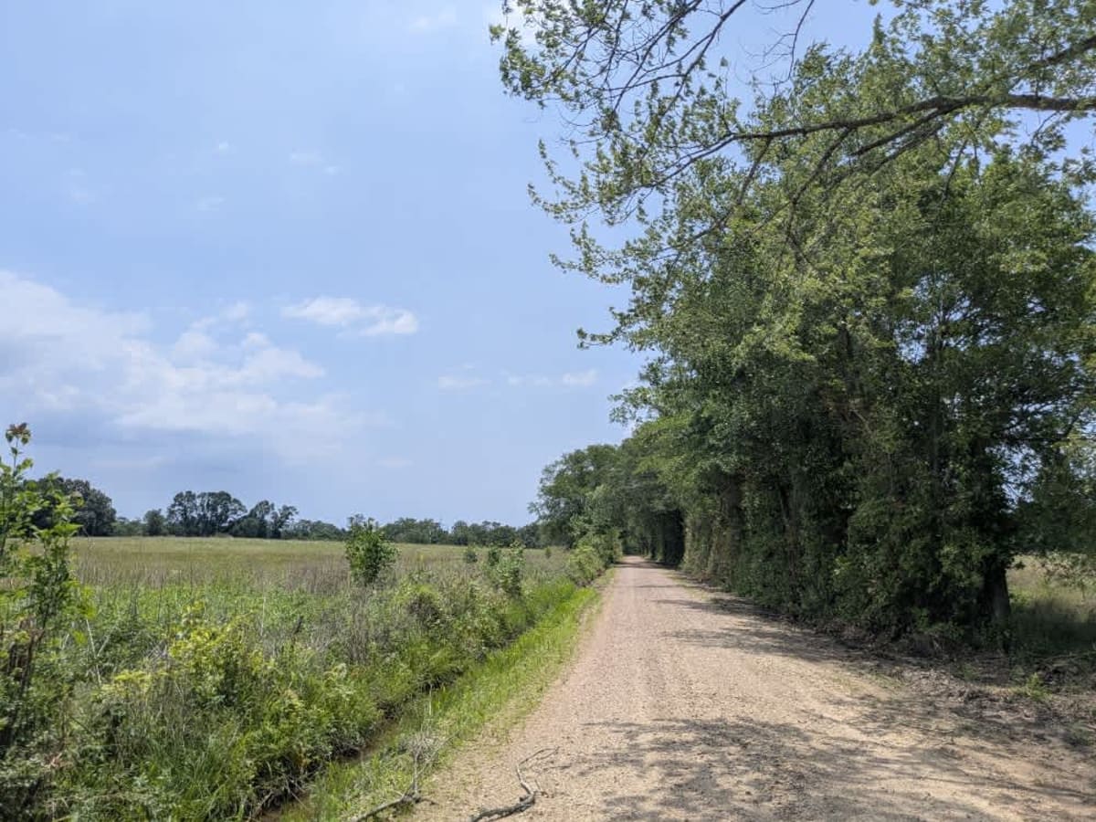 N4660 photo 2