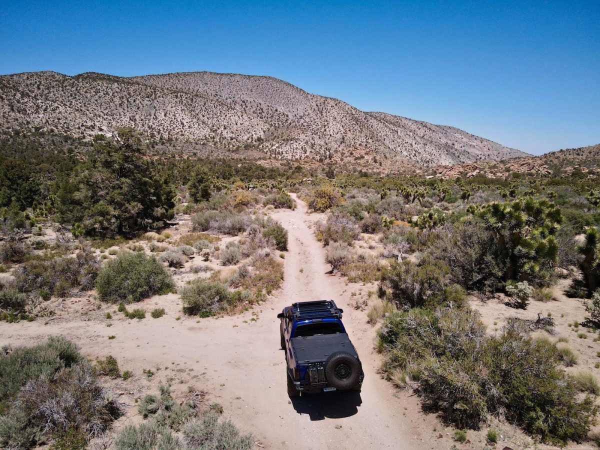 Cactus Flat - 3N62 photo 3