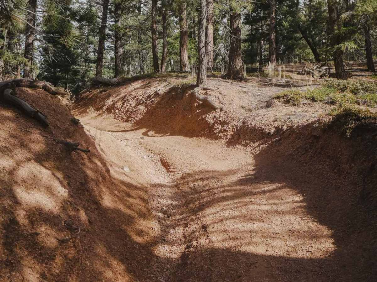 657 Gramps ATV Trail photo 5