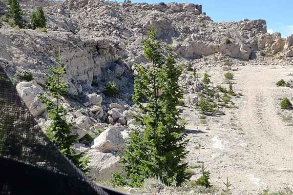 Limestone Trail (FS 327)