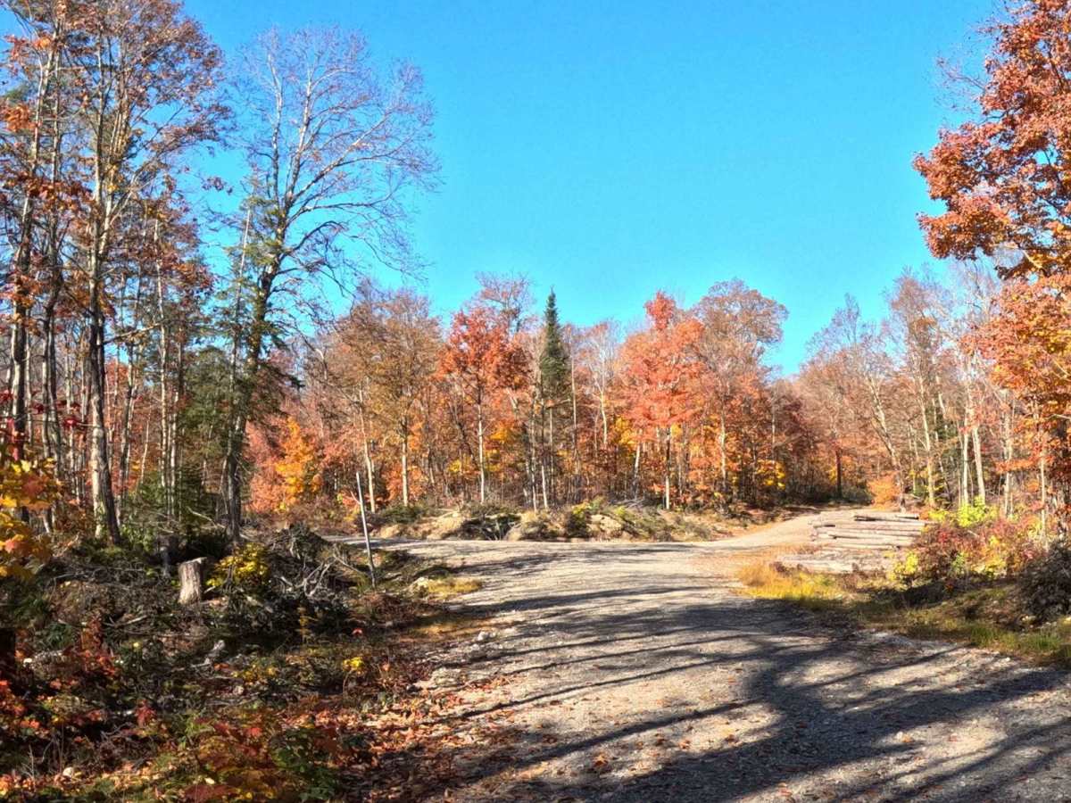 Batchawana Falls Road trail photo